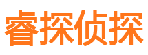 定边市私家侦探